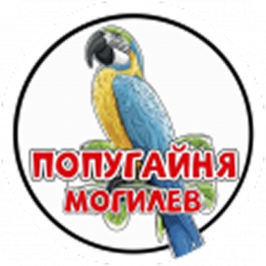 Посещение попугайни от 13р в Могилеве